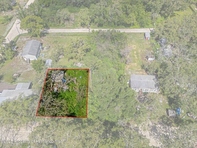3241 Taffeta St, Ridge Manor, FL 33523 - photo 8