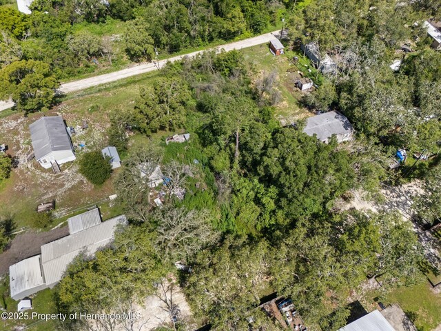 3241 Taffeta St, Ridge Manor, FL 33523 - photo 9