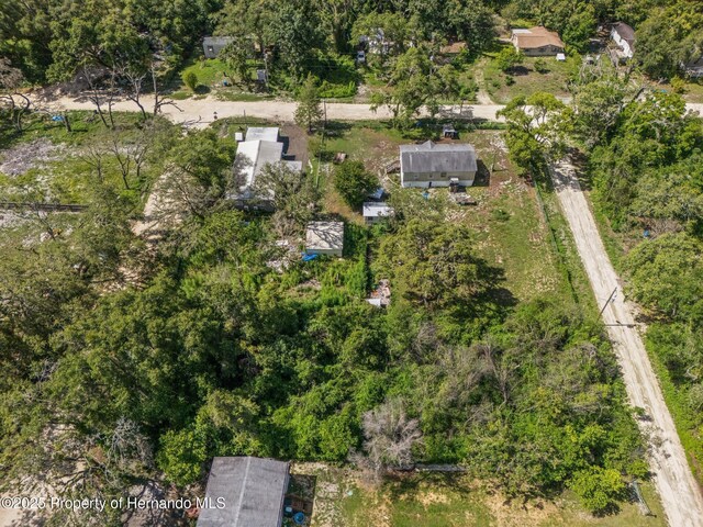 3241 Taffeta St, Ridge Manor, FL 33523 - photo 11