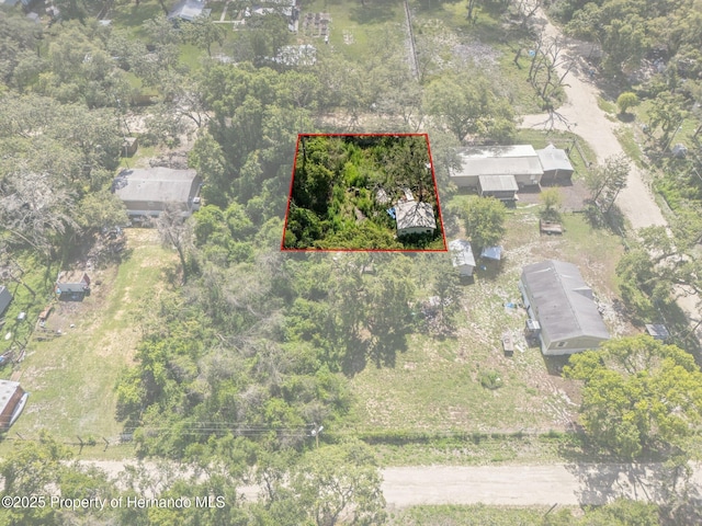 3241 Taffeta St, Ridge Manor, FL 33523 - photo 3