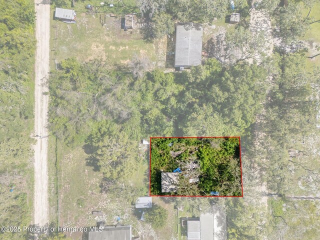 3241 Taffeta St, Ridge Manor, FL 33523 - photo 5