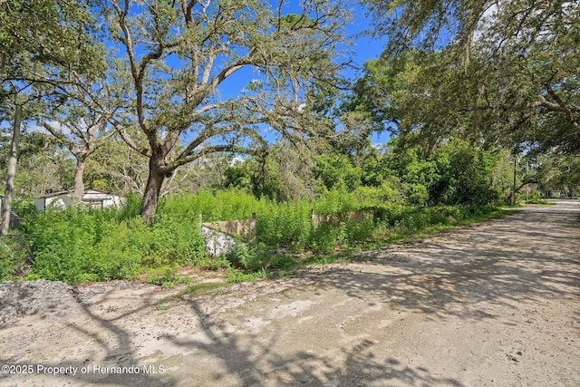 3241 Taffeta St, Ridge Manor, FL 33523 - photo 1
