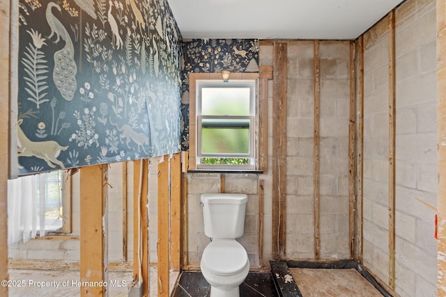 3226 Gardenia Dr, Hernando Beach, FL 34607 - bathroom featuring toilet