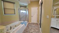 455 Cressida Cir, Spring Hill, FL 34609 - full bath featuring vanity, a bath, and a shower stall