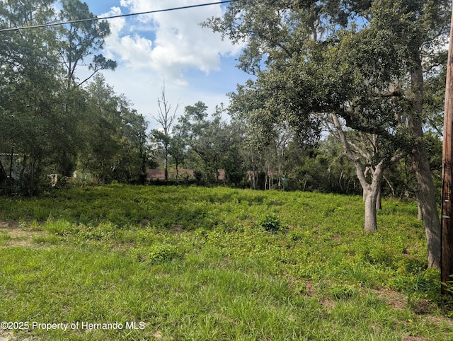 0 Merlin Cir, Ridge Manor, FL 33523 - photo 2