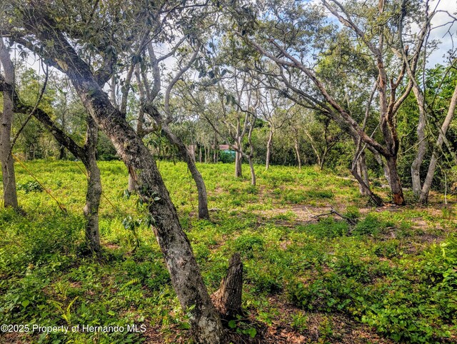 0 Merlin Cir, Ridge Manor, FL 33523 - photo 5