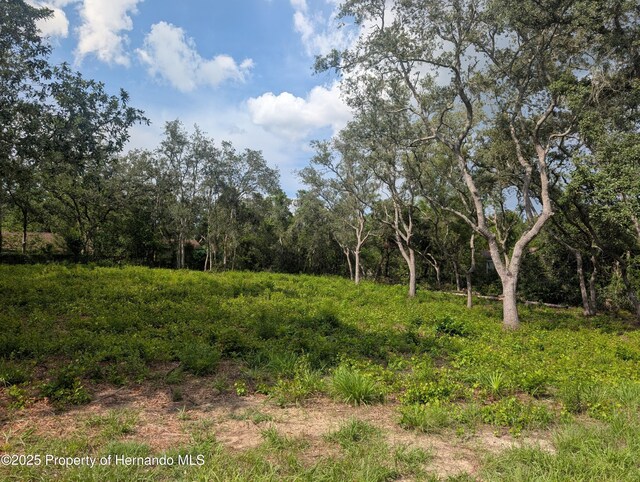 0 Merlin Cir, Ridge Manor, FL 33523 - photo 9