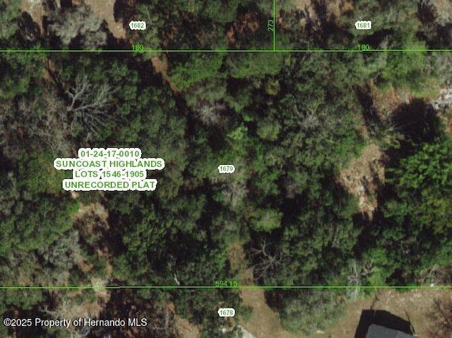 18215 Manteno Dr, Spring Hill Pasco, FL 00000