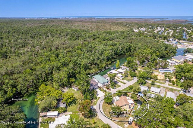 5507 Darlene St, Weeki Wachee, FL 34607 - aerial view of a forest