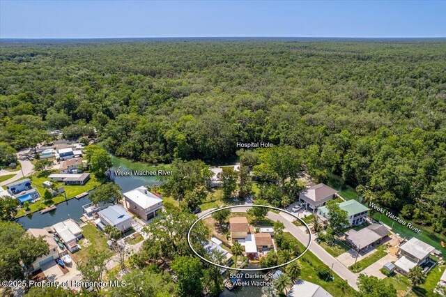 5507 Darlene St, Weeki Wachee, FL 34607 - bird's eye view of a heavily wooded area