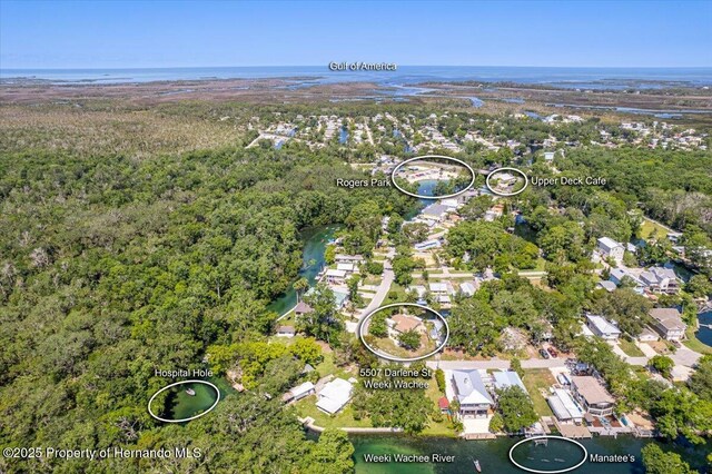 5507 Darlene St, Weeki Wachee, FL 34607 - view of property location featuring a forest