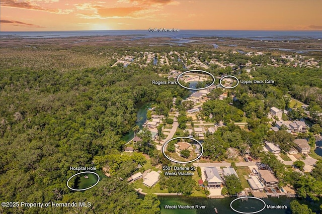 5507 Darlene St, Weeki Wachee, FL 34607 - aerial view