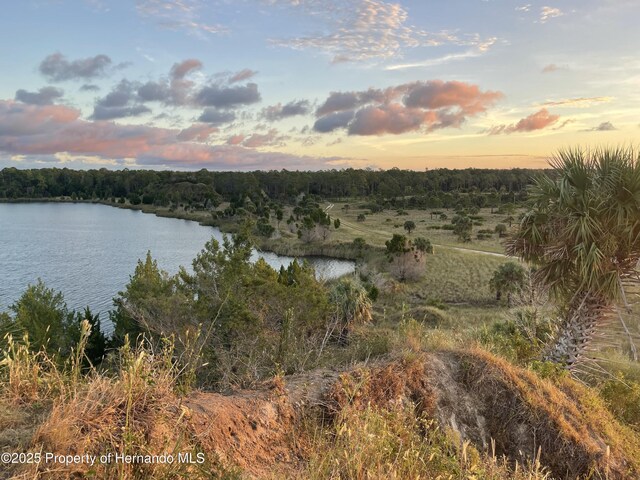 5507 Darlene St, Weeki Wachee, FL 34607 - water view