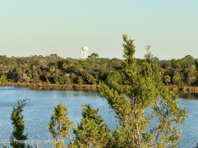 5507 Darlene St, Weeki Wachee, FL 34607 - water view featuring a forest