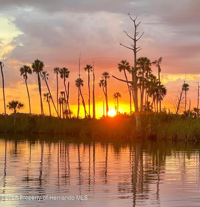 5507 Darlene St, Weeki Wachee, FL 34607 - water view