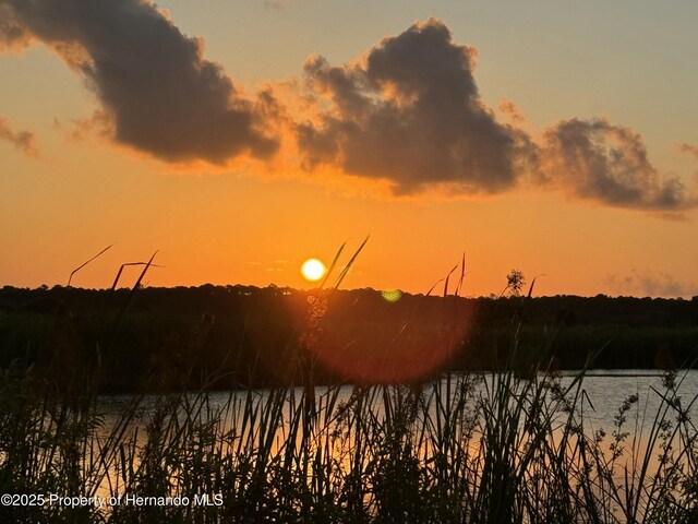 5507 Darlene St, Weeki Wachee, FL 34607 - water view