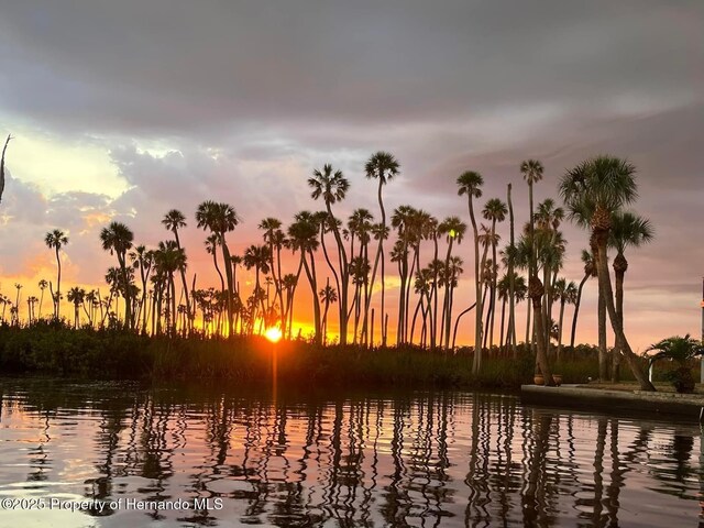 5507 Darlene St, Weeki Wachee, FL 34607 - water view