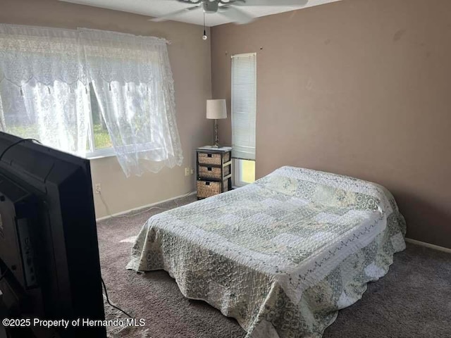 12801 Winding Way, Hudson, FL 34667 - carpeted bedroom with baseboards