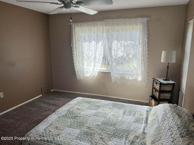 12801 Winding Way, Hudson, FL 34667 - bedroom with carpet, baseboards, and a ceiling fan