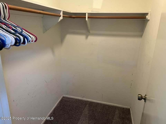 12801 Winding Way, Hudson, FL 34667 - spacious closet featuring carpet flooring