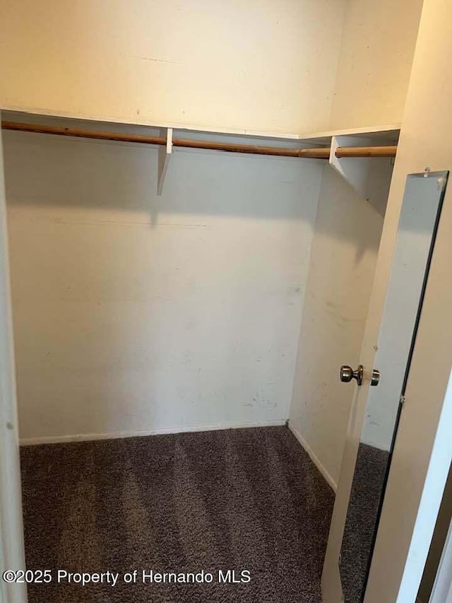 12801 Winding Way, Hudson, FL 34667 - walk in closet featuring carpet floors