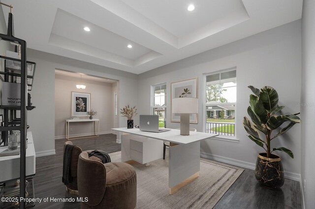 4056 Southern Valley Loop, Brooksville, FL 34601 - office space featuring light wood-type flooring, a raised ceiling, baseboards, and recessed lighting