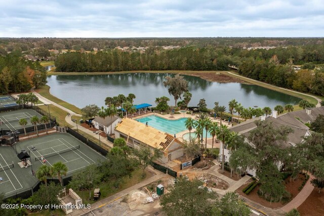 4056 Southern Valley Loop, Brooksville, FL 34601 - view of property location featuring a nearby body of water, a forest, and a pool
