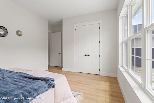 4522 Majestic Hills Loop, Brooksville, FL 34601 - bedroom with multiple windows, light wood-style floors, and a closet