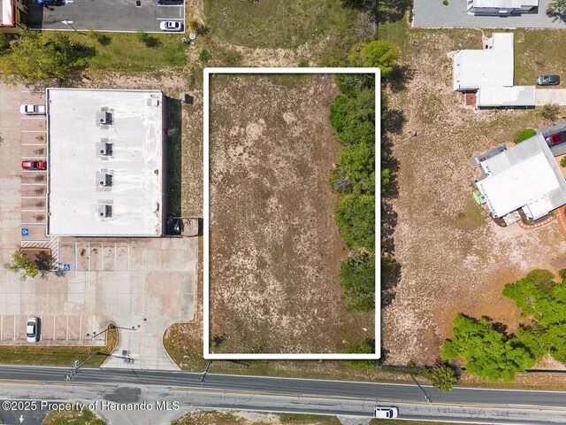 000 Weeping Willow St, Brooksville, FL 34613 - photo 2