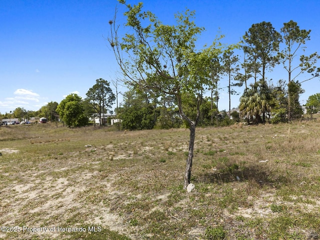 000 Weeping Willow St, Brooksville, FL 34613 - photo 12