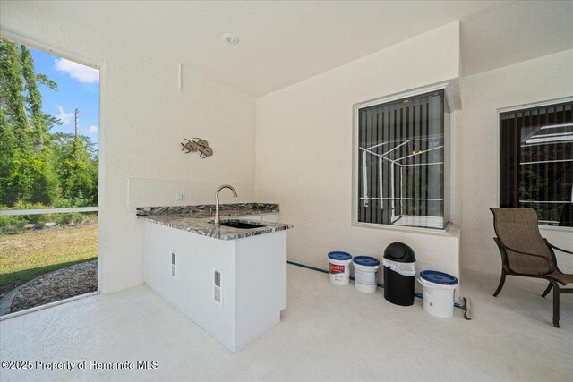 11137 Woodland Waters Blvd, Spring Hill, FL 34613 - view of patio with a sink