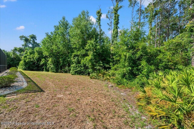 11137 Woodland Waters Blvd, Spring Hill, FL 34613 - view of yard