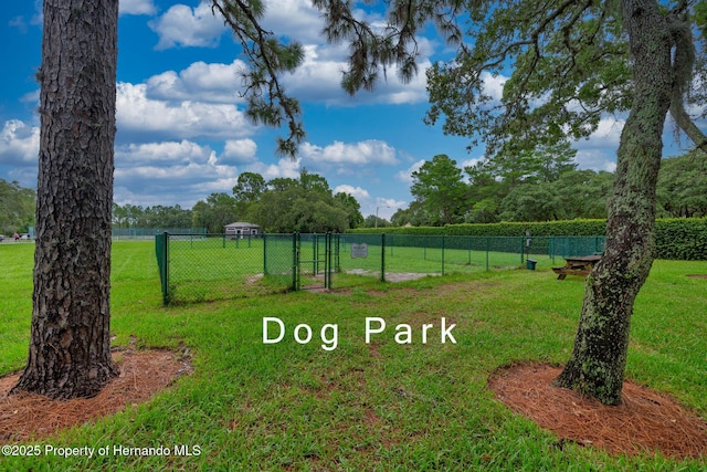 8308 Mobile Cir, Weeki Wachee, FL 34613 - view of yard