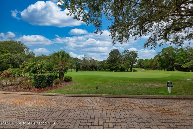8308 Mobile Cir, Weeki Wachee, FL 34613 - surrounding community with golf course view, view of scattered trees, and a yard