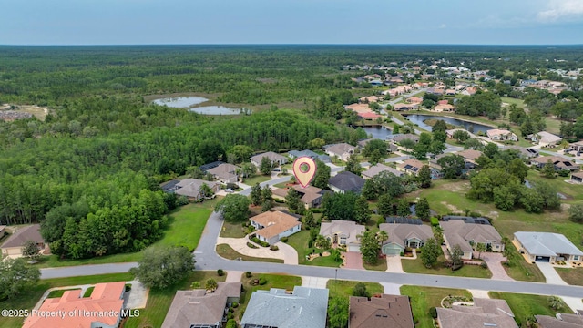 8308 Mobile Cir, Weeki Wachee, FL 34613 - aerial view of property and surrounding area featuring nearby suburban area, a heavily wooded area, and a nearby body of water