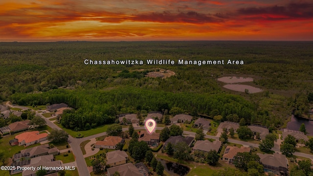 8308 Mobile Cir, Weeki Wachee, FL 34613 - aerial view at dusk of a wooded view and a residential view