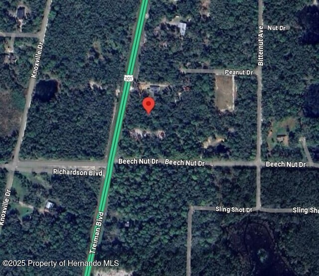 7446 Treiman Blvd, Webster, FL 33597