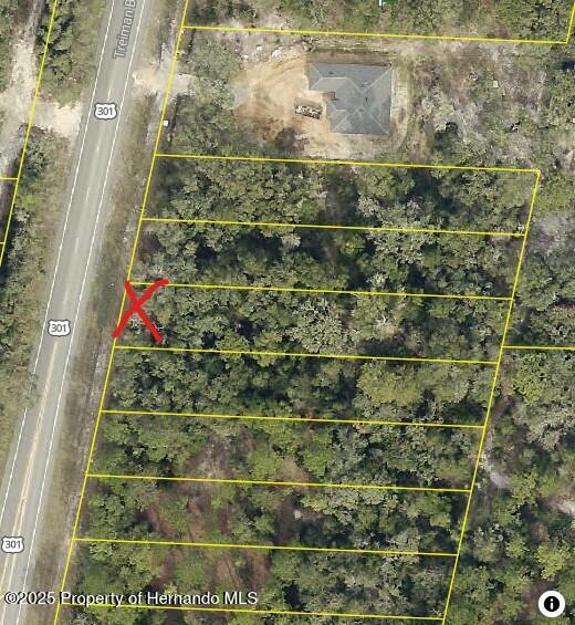 7446 Treiman Blvd, Webster, FL 33597