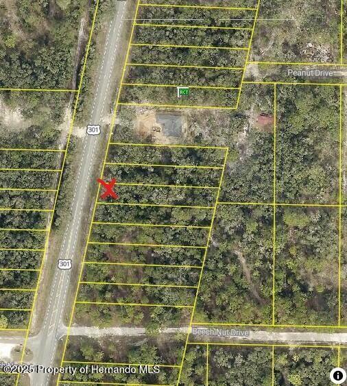 7446 Treiman Blvd, Webster, FL 33597