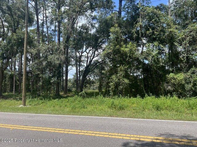 7446 Treiman Blvd, Webster, FL 33597
