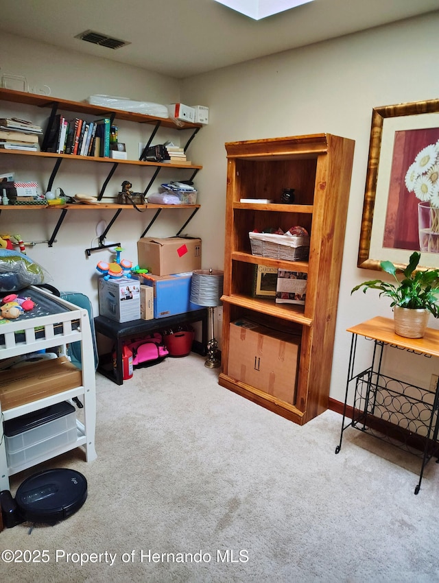 6208 Roble Ave, Spring Hill, FL 34608 - view of storage area