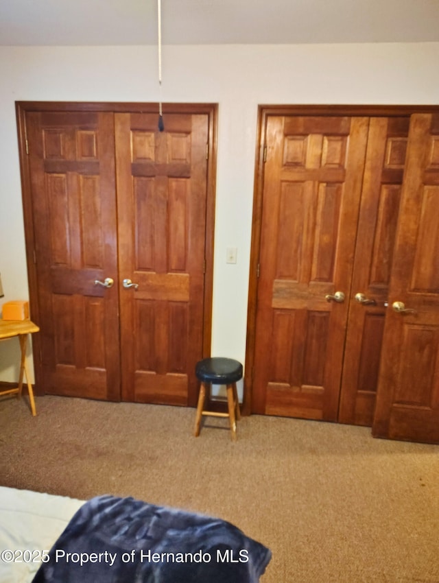 6208 Roble Ave, Spring Hill, FL 34608 - carpeted bedroom featuring a closet