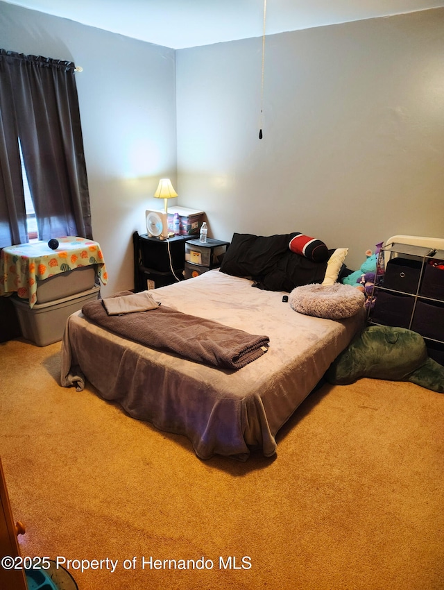 6208 Roble Ave, Spring Hill, FL 34608 - view of carpeted bedroom