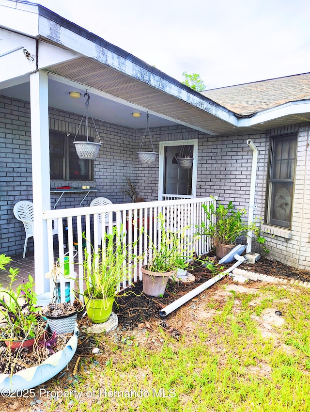 6208 Roble Ave, Spring Hill, FL 34608 - doorway to property with brick siding and a porch