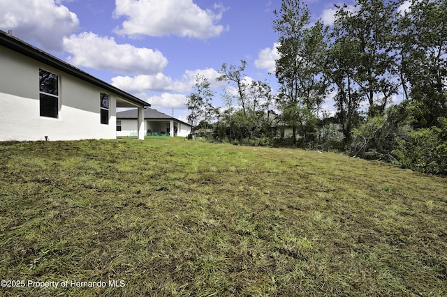 1080 Dunlap Ave, Spring Hill, FL 34609 - view of yard