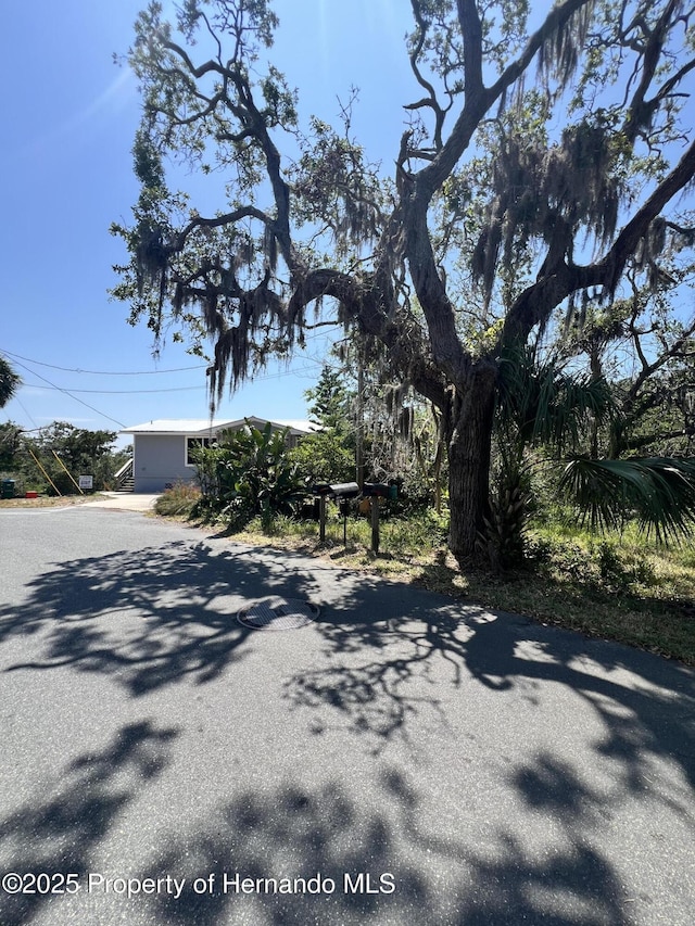 12301 Cedar St, Cedar Key, FL 32625 - view of yard
