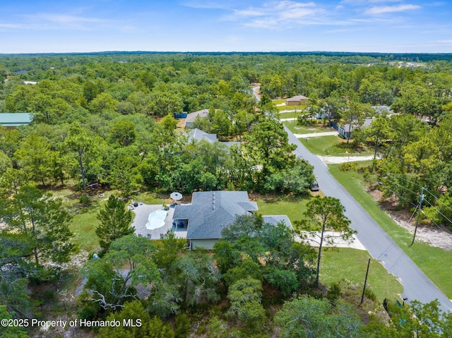 10197 Meadow Wren Ave, Spring Hill, FL 34613 - photo 4