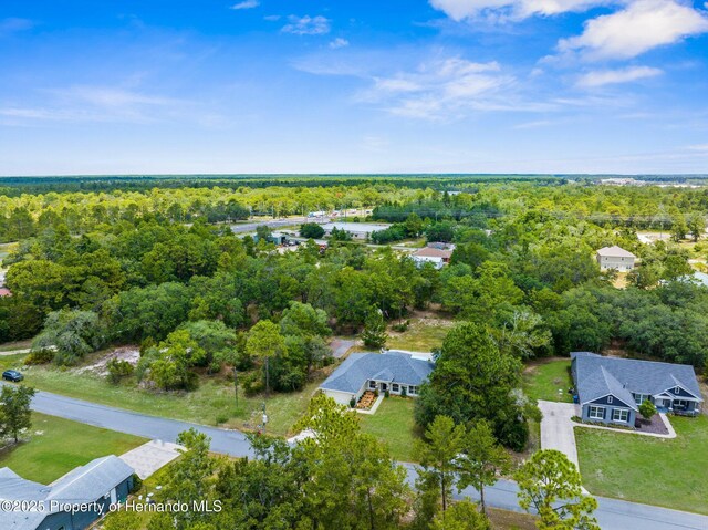 10197 Meadow Wren Ave, Spring Hill, FL 34613 - photo 8