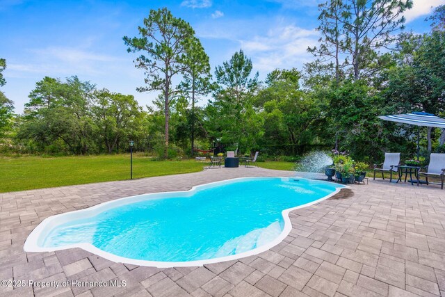 10197 Meadow Wren Ave, Spring Hill, FL 34613 - photo 39