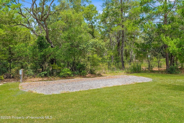 10197 Meadow Wren Ave, Spring Hill, FL 34613 - photo 55